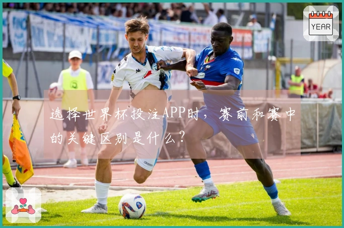 选择世界杯投注APP时，赛前和赛中的关键区别是什么？