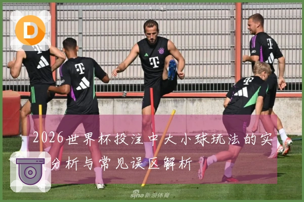 2026世界杯投注中大小球玩法的实战分析与常见误区解析