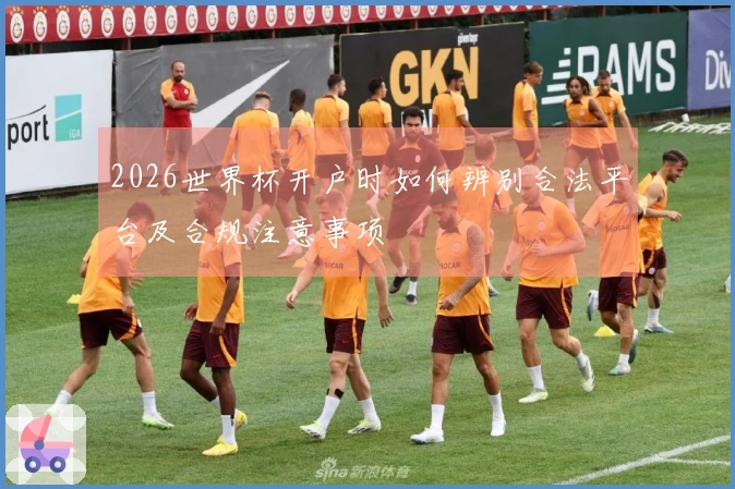 2026世界杯开户时如何辨别合法平台及合规注意事项