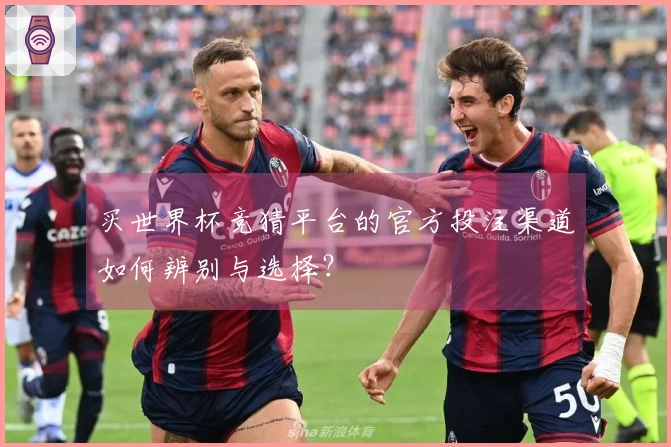 买世界杯竞猜平台的官方投注渠道如何辨别与选择？