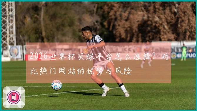 2026世界杯买球平台怎么选择？对比热门网站的优势与风险