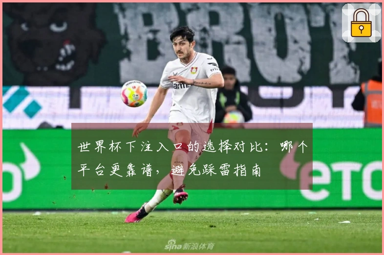 世界杯下注入口的选择对比：哪个平台更靠谱，避免踩雷指南