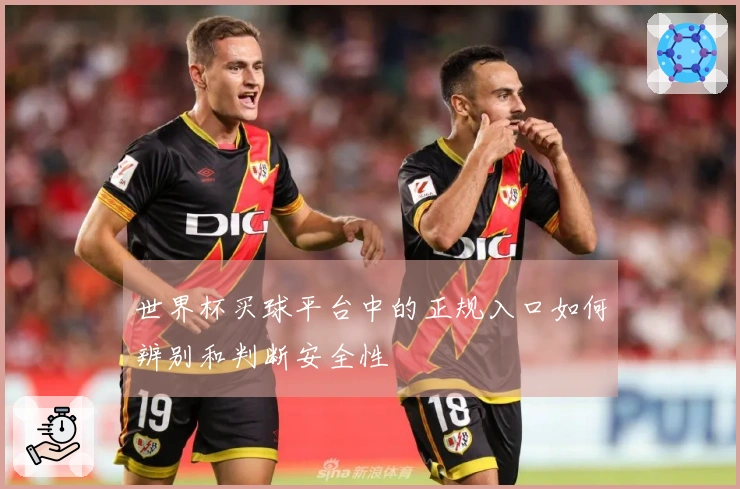 世界杯买球平台中的正规入口如何辨别和判断安全性