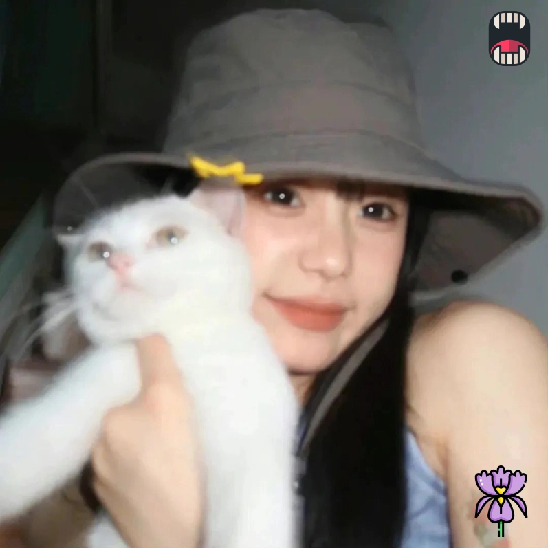 网友阿峰